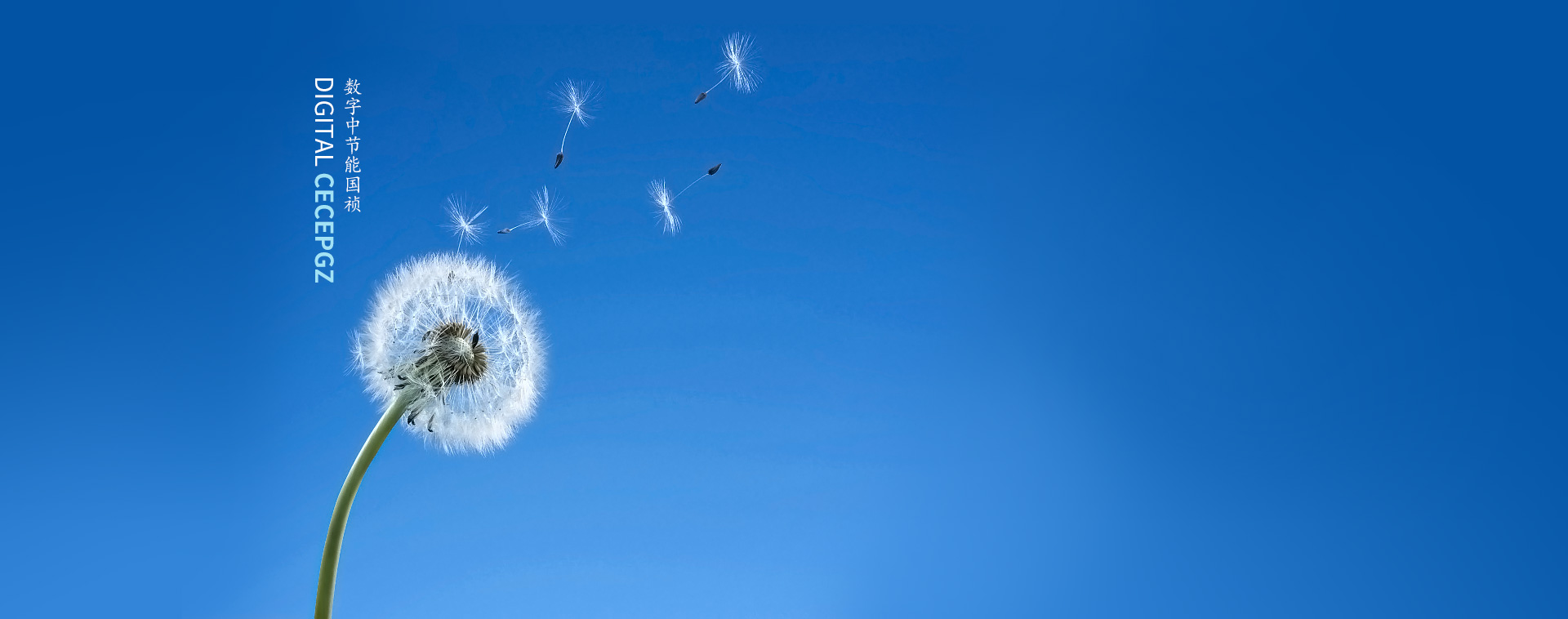 中節(jié)能國禎環(huán)保科技股份有限公司