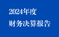 節(jié)能國禎2024年度財務(wù)決算報告（簡版）