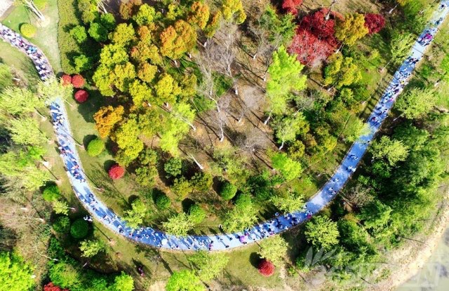 國禎環(huán)保-快樂國禎環(huán)湖毅行