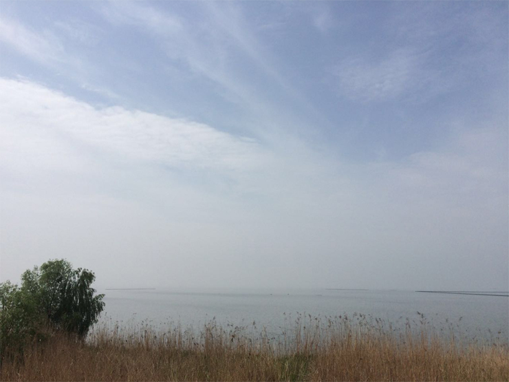 國禎環(huán)保-快樂國禎環(huán)湖毅行沿途風(fēng)景